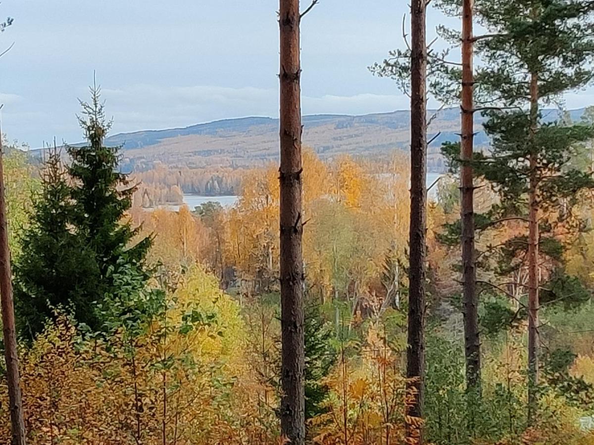 Villa Buskbacken Logi à Bollnäs Extérieur photo